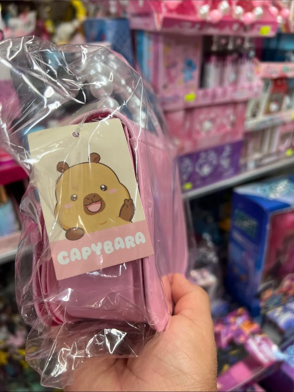 Capibara cute pink